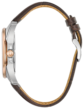Precisionist image for specs