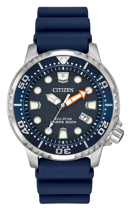 Promaster Diver