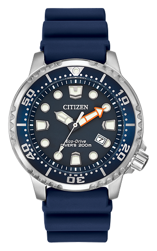 Promaster Diver