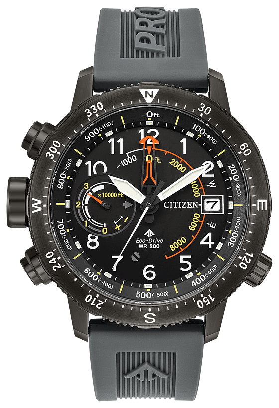Promaster Altichron