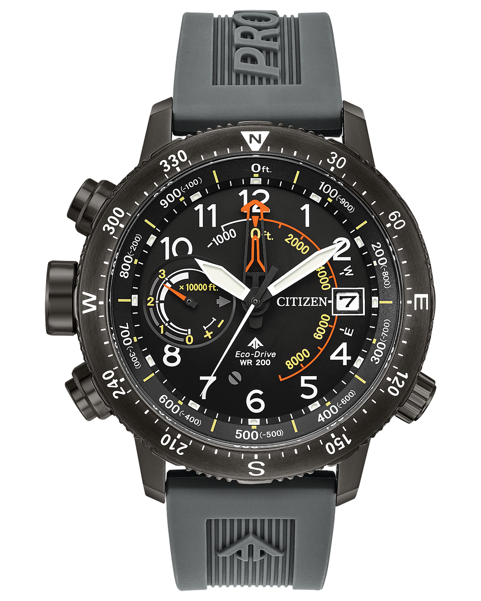 Promaster Altichron
