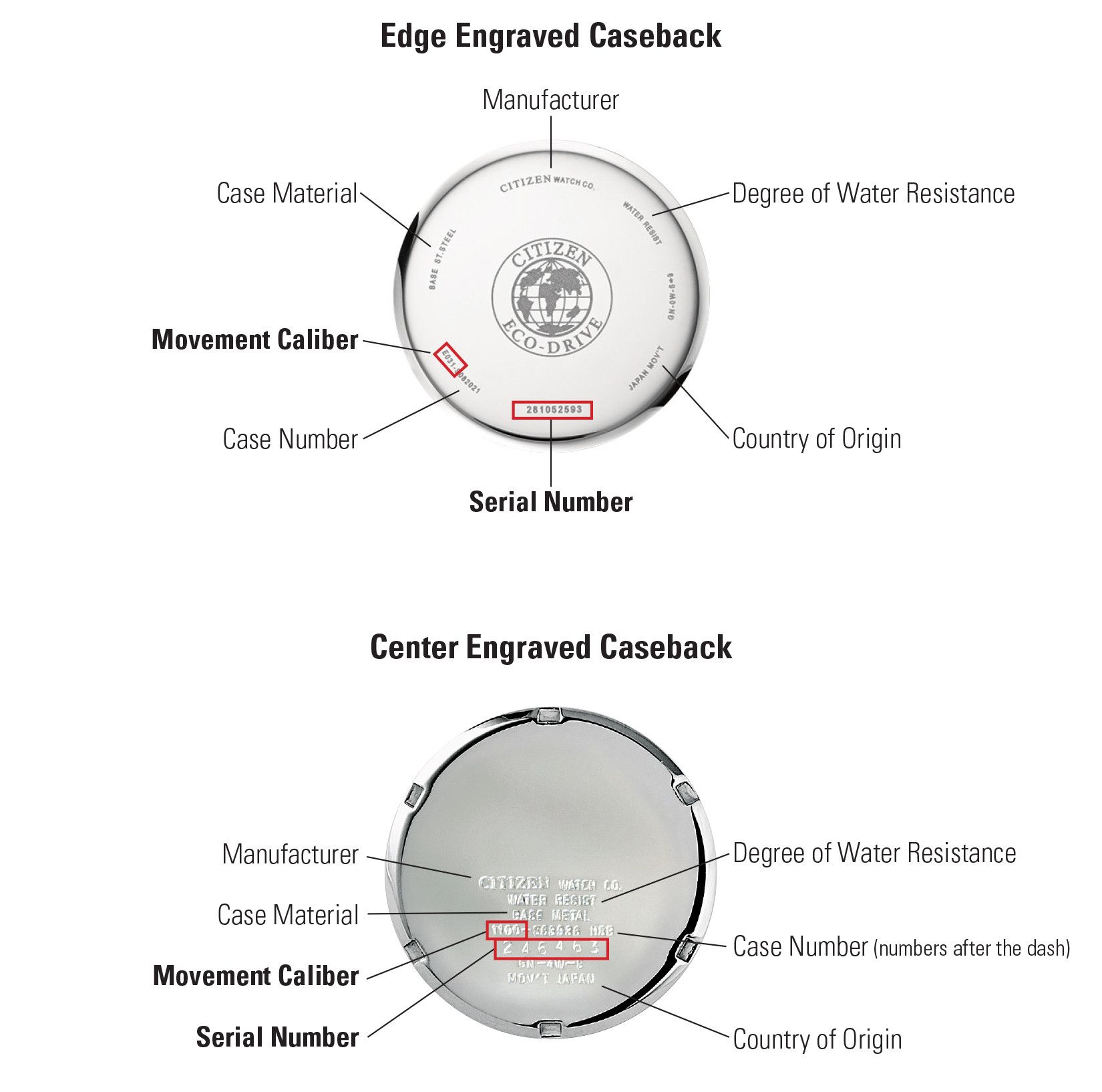 citizen eco drive watch bracelet replacement