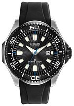 Promaster Diver