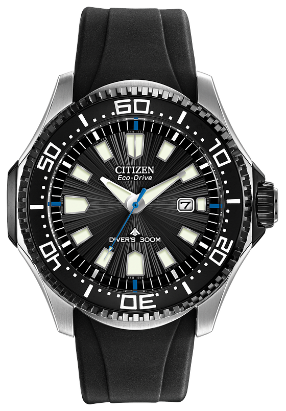 Promaster Diver