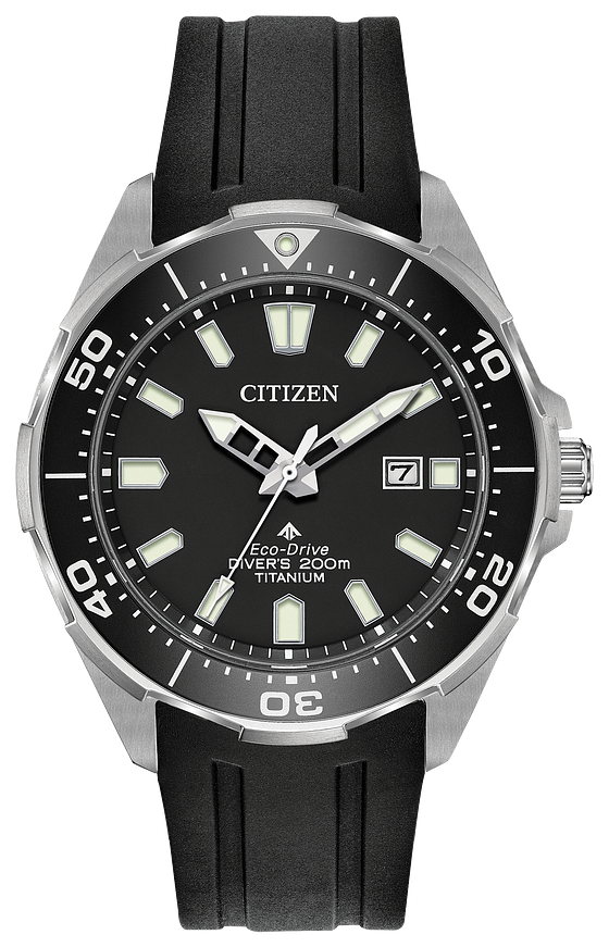 Promaster Diver