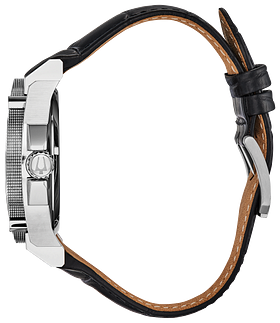 Precisionist image for specs