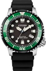 Promaster Diver