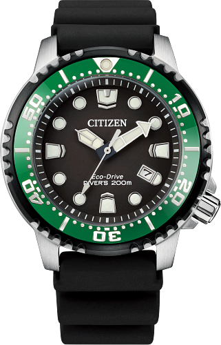 Promaster Diver