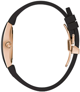 Gemini image for specs