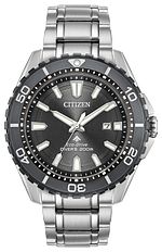 Promaster Diver
