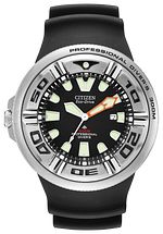 Promaster Diver
