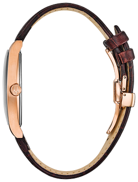 Ambassador image for specs
