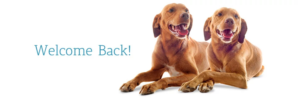 Welcome Back!