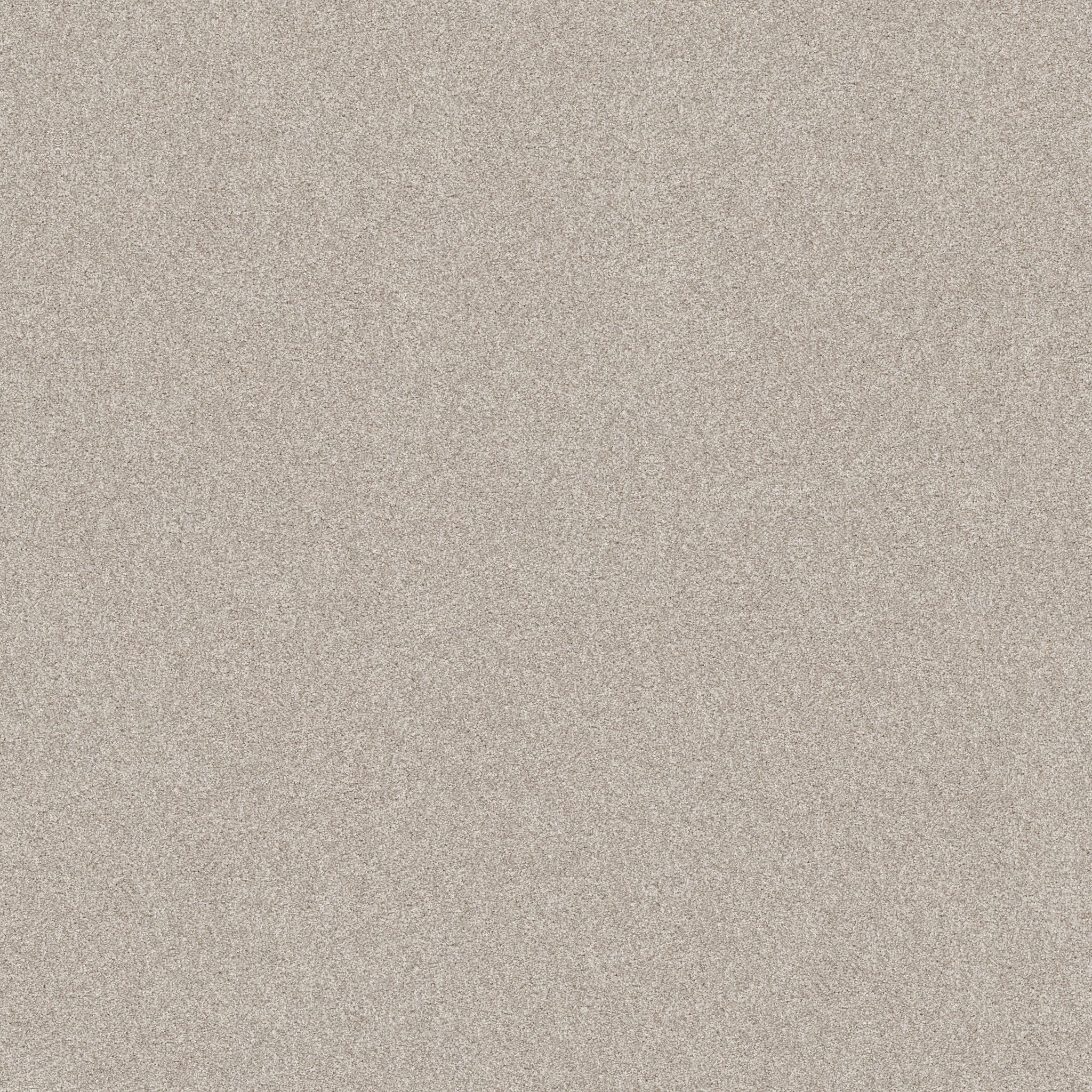 Style name and number: Harmonious I 5E438 and color name and number: Split Sediment 00104