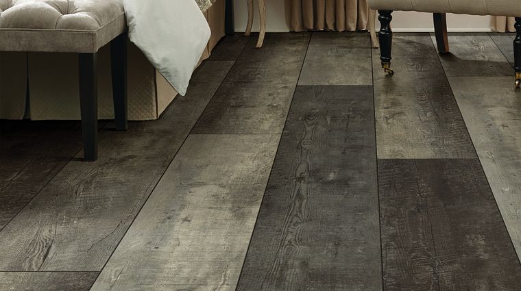 Distinguished Character