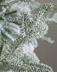frosted Christmas tree foliage