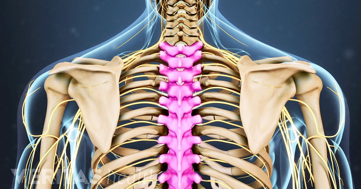Spine Anatomy Video: Spinal Anatomy, Spine Components and Sources of