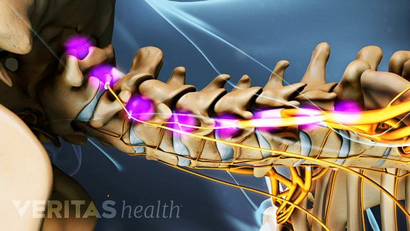 Cervical Nerves