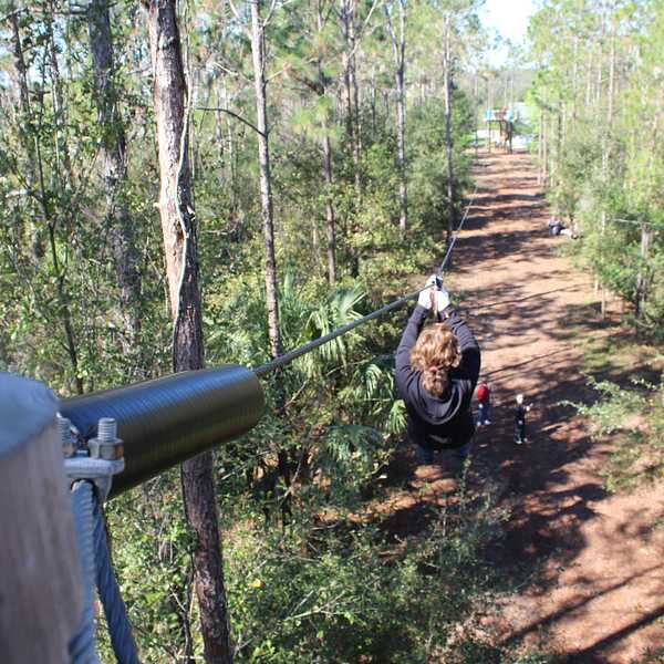 Discounted Orlando Tree Trek Adventure Park Tickets