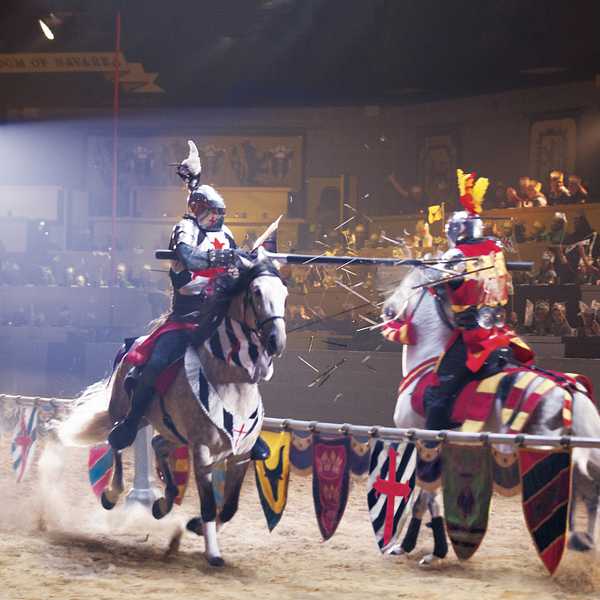 Your Trusted Source for Discounted Medieval Times Dinner Show & Tournament Tickets