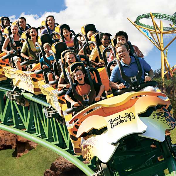 Cheetah Hunt roller coaster ride at Busch Gardens Tampa Bay