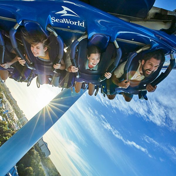 A family riding Manta at SeaWorld Orlando