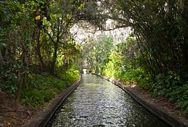 Winter Park Florida Scenic Boat Tours