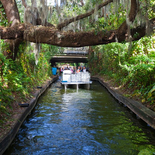 Winter Park Scenic Boat Tour Tickets