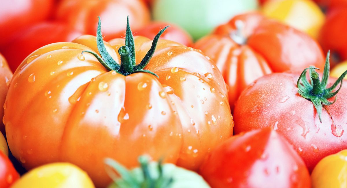 Top Tomato Tips