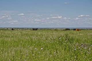 Burnett Ranches Burnett Ranches, LLC, 6666 Ranch
