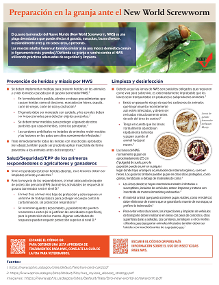 NWS-producer-PPE-prevention-poster-Spanish-090525-05