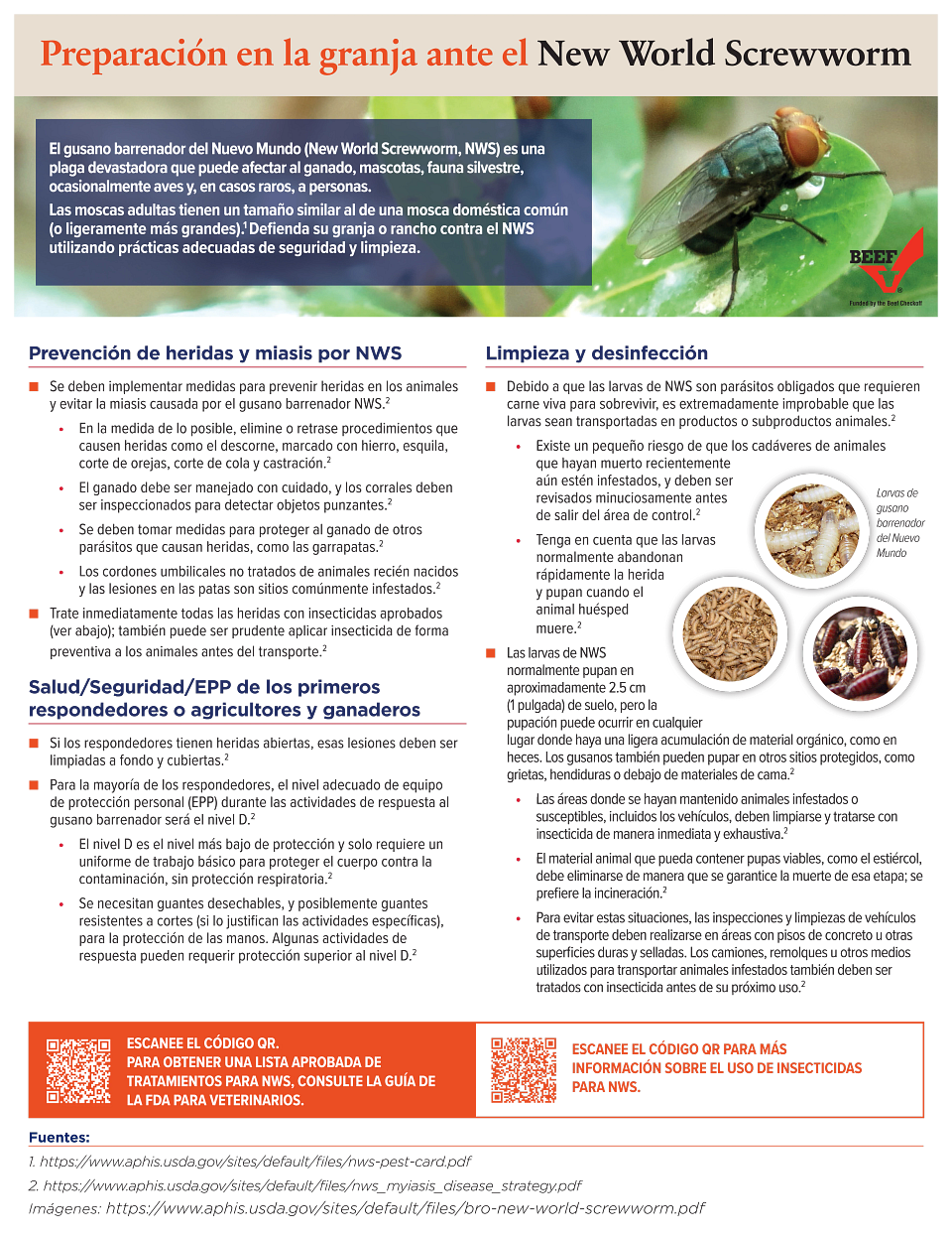 NWS-producer-PPE-prevention-poster-Spanish-090525-05