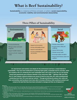 Beef Sustainability Infographic - Three Pillars