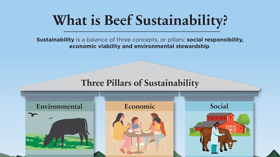 Beef Sustainability Three Pillars