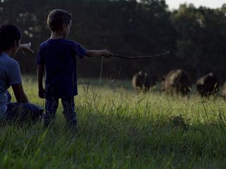 BQA - Cow Calf