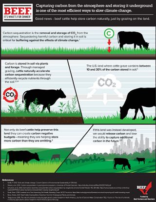 CarbonSequestration-Infographic-ARMS032823-09