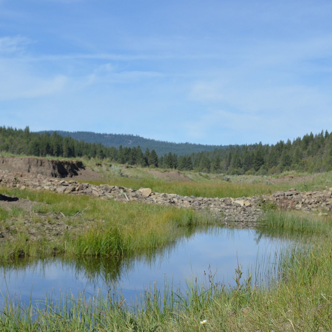 Sparrowk Ranch