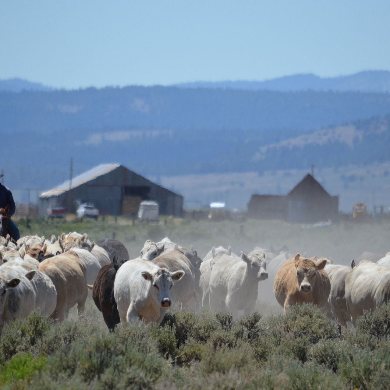 Sparrowk Ranch