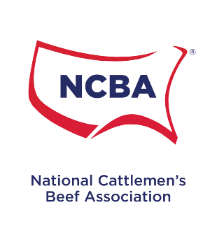 NCBA Logo - Vertical RGB