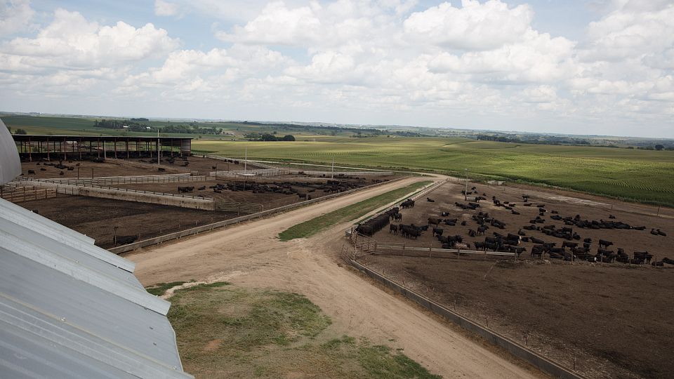 Triple-U Ranch