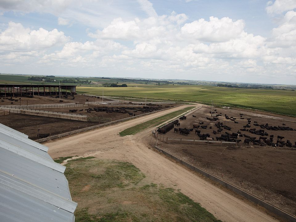 Triple-U Ranch