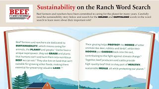 Beef Sustainability Word Search