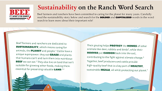 Beef Sustainability Youth Wordsearch