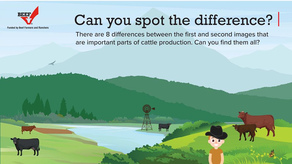 Sustainability-Spot the Difference Game-Kids-GenZ