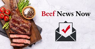 Beef News Now Website Banner Image