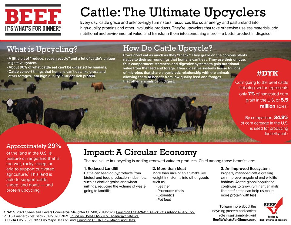 Upcycling Infographic