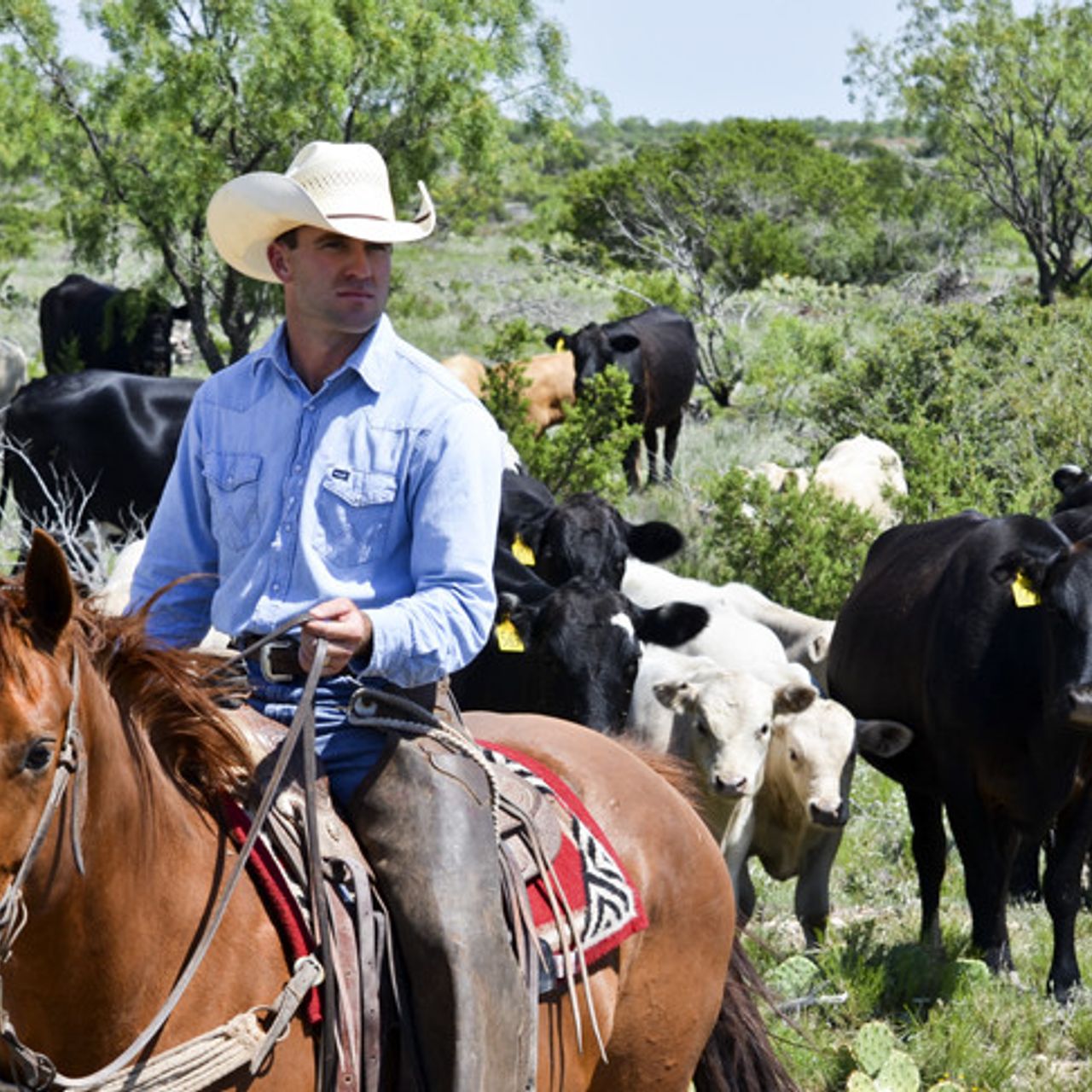 Frank and Sims Price Ranch