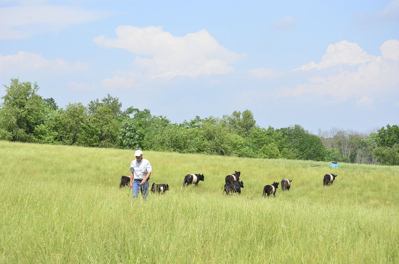 Sherwood Acres Farm