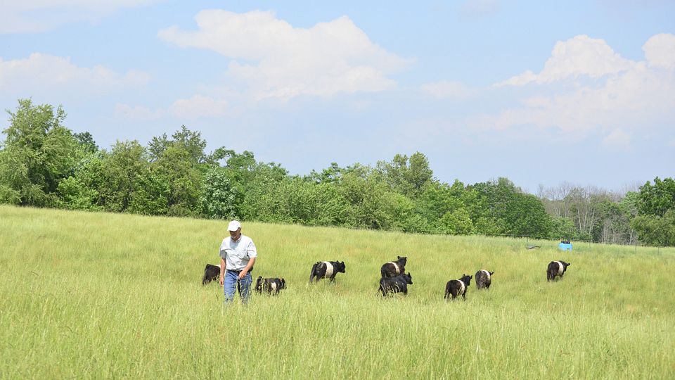 Sherwood Acres Farm