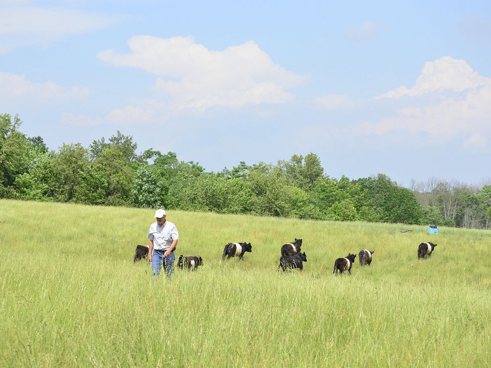 Sherwood Acres Farm